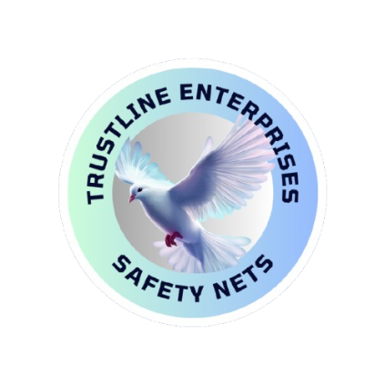 safetynetshubli.com